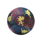 Miniball Genoa 2025/26